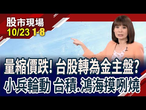 三大哥+鴻海貢獻118跌點!揚智4根漲停 選小不選大?富士康遭中查稅 台灣先生喊別碰陸?｜20231023(第1/8段)股市現場*曾鐘玉(李蜀芳×蔡明翰×謝明哲)