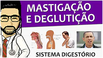 Como a língua atua na mastigação e na deglutição?
