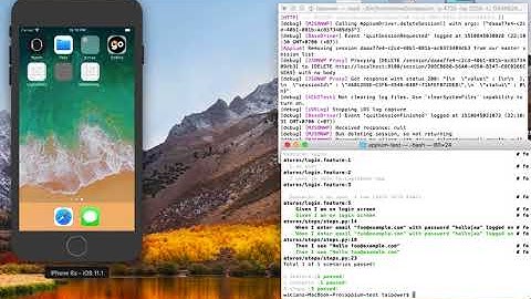 Automated Test IOS by Appium