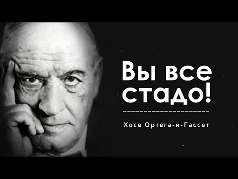 Хосе Ортега-и-Гассе разбирается в ...