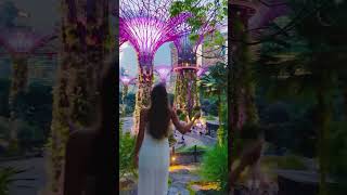 Gardens by the Bay I Singapore ?? singapore سنغافورا