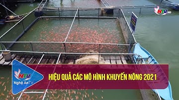 Hiệu quả các mô hình Khuyến nông 2021