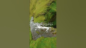 سورة العنكبوت - الآية 58 :