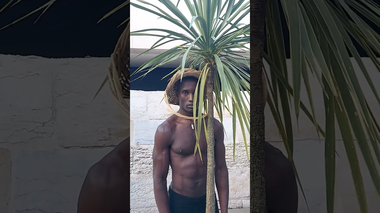 BIO CONNECTIVITY - CELIO DIAS & DRACAENA 