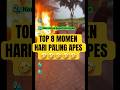HARI APES TIDAK ADA DI KALENDER🤣#shorts #short #viral #herex #video #trending #fyp #beranda #2tak