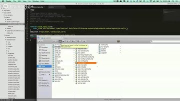 Build a WordPress Plugin