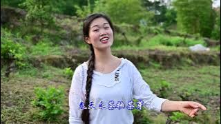 一首民歌《采茶姐妹上茶山》,熟悉的旋律好聽