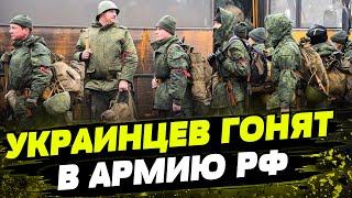 Россияне ГОНЯТ УКРАИНЦЕВ в свою армию. В оккупации мобилизация и призыв