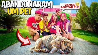 Thumbnail for ABANDONARAM UM CACHORRINHO NA MANSÃO DOS ROSA *Adotamos ?