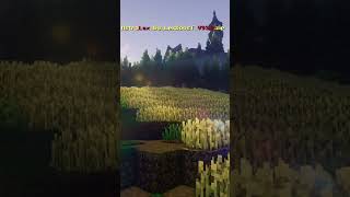 Wich is the best shader #minecraft #shaders #minecraftshaders #chill #chillmusic