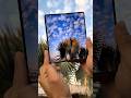 Samsung Z Fold 4 Camera Testing Shorts Fold4 Samsung Samsung Z Fold 4 Camera Testing Shorts Fold4 Samsung