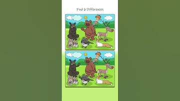 Find 6 Differences!!! #challenge #game #puzzle #shorts #shortvideo