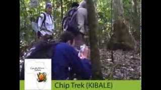 DownloadCycads African Safaris- Explore Uganda & Rwanda MP3 MP4 Cycads African Safaris- Explore Uganda & Rwanda