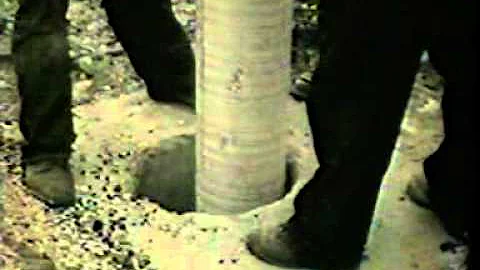 Co je elektrfikace železničních tratí?