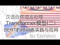 汉语自然语言处理-transformer模型(二.2)BERT的实践应用-情感分析分类--doc2vec-语料预处理-数据增强-解决过拟合问题-深度学习训练技巧