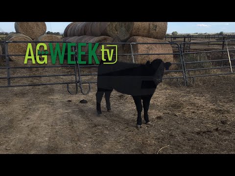 AgweekTV Full Show
