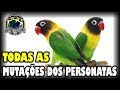 DIFERENTES TIPOS DE AGAPÓRNIS PERSONATA #1