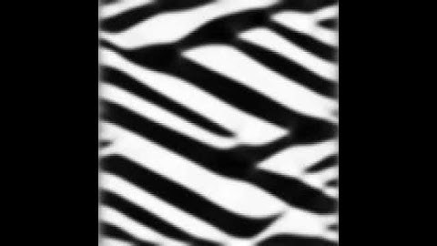 Formation of {101} phase boundaries in a LiFePO4 nanoparticle