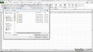 Excel 2010-0002 Using the exercise files