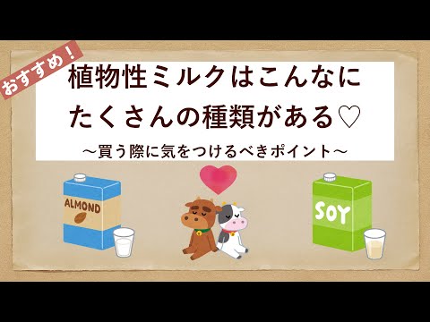 牛乳の代わりに植物性ミルク？乳製品を減らそう！！