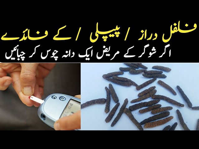 Pipli ke fayde in urdu by hakeem Muhammad Naeem-Long pepper health benefits-Maghan-fifil daraz