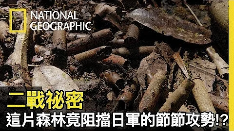 經驗值0的澳洲部隊竟不知為何抵擋住了日軍節節攻勢，難道這片森林有甚麼不可告人的祕密?【二戰祕密】 - 天天要聞
