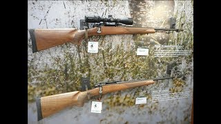 First Look: Remington 783 Walnut Edition Rifle