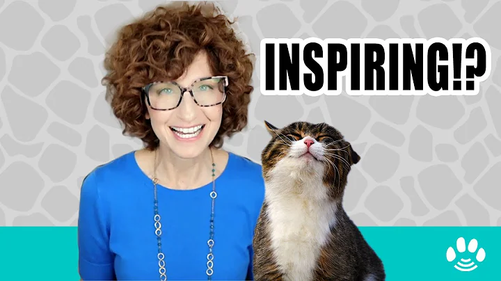 3 Incredible and Inspiring Reasons Why Your Pet Died Now