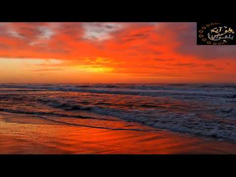 تلاوة رائعة سورة الانسان للقاري يوسف الصقير