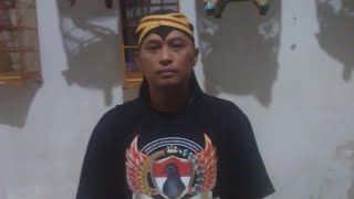 Download Lagu Cara membedakan perkutut lokal alam dan ternak-crosing MP3