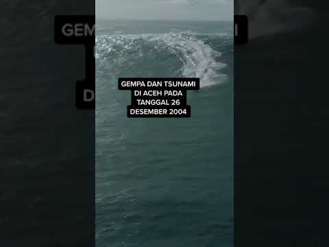 Video: Haruskah Anda berlari menuju tsunami?