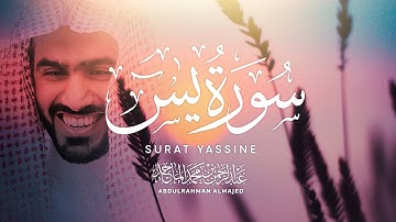 سورة يس (ياسين)  كاملة | إقرأ واستمع | عبدالرحمن الماجد - Surah Yaseen | Abdulrahman Almajid