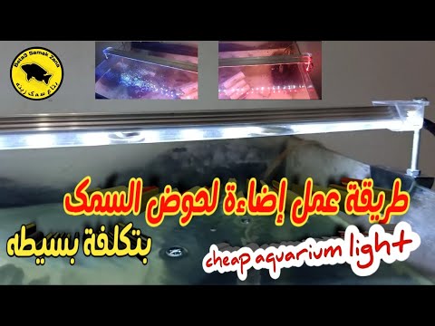 فيديو: إضاءة LED لحوض السمك. مصابيح وشرائط LED لحوض السمك. حساب إضاءة LED لحوض السمك