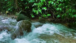 Gentle River Current for Deep Sleep and Healing