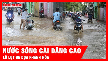 Sông Cái dâng cao, người dân Khánh Hòa vật lộn với lũ mới | Tin tức