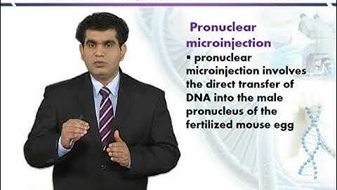 Pronuclear Microinjection | Introduction to Biotechnology | BIO5101_Topic155