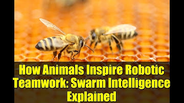 How Animals Inspire Robotic Teamwork: Swarm Intelligence Explained