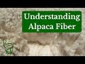 Understanding Alpaca Fiber