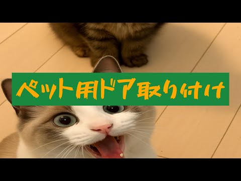 ペットドア取り付け（ワンちゃんやネコちゃんの通り道を室内ドアに取り付けます！）