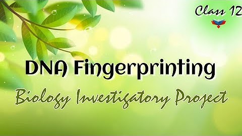 || Biology Investigatory Project on DNA Fingerprinting || Class 12 ||