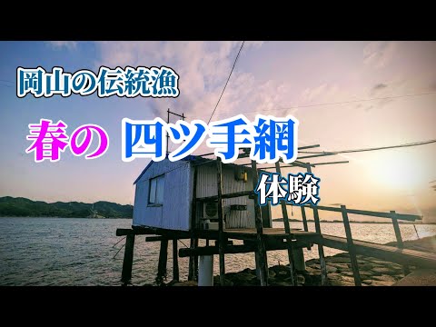 【春の四ツ手網体験】岡山の伝統漁を親子3人10000円で体験してきました