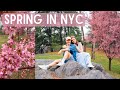 Springtime in Central Park and Japanese style Karaoke | Life in NYC Vlog