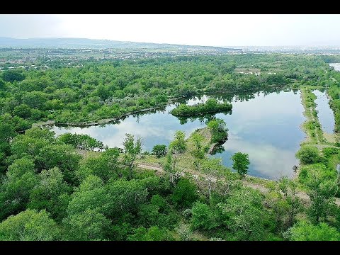 ველური ბუნება რუსთავთან ახლოს   კრწანისის ტყე პარკი