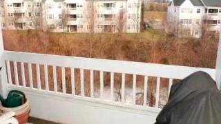 8493 Falls Run Rd. #H Ellicott City, MD 21043