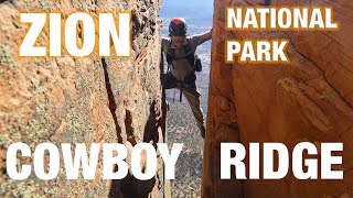Zion National Park // Cowboy Ridge Scramble