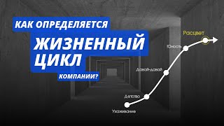 Как определяется жизненный цикл компании?
