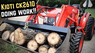 KIOTI CK2610 TRACTOR and STIHL MS 261 WORKING - Skidding Logs, Cutting Down Tree, Firewood Cutting