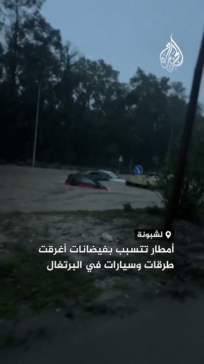        
 - نشر قبل 11 دقيقة