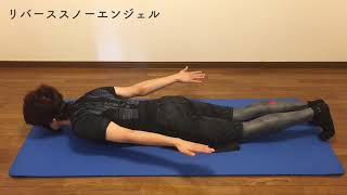 広背筋の効果的な鍛え方おすすめ14選 初心者も簡単にできるトレーニングを厳選 暮らし の 広背筋の効果的な鍛え方おすすめ14選 初心者も簡単にできるトレーニングを厳選 暮らし の