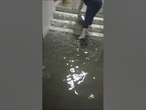 омск Евромед на зелкном острове - YouTube